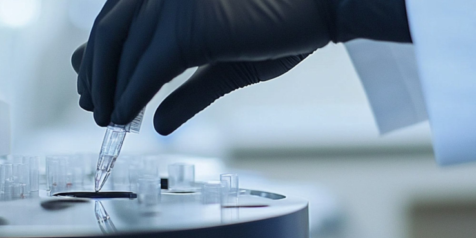 the-future-of-animal-health-ai-s-role-in-disease-detection-diagnosis-and-producti-cover.png